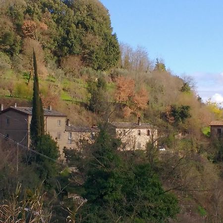 Rustico Appartement Bagnoregio Buitenkant foto