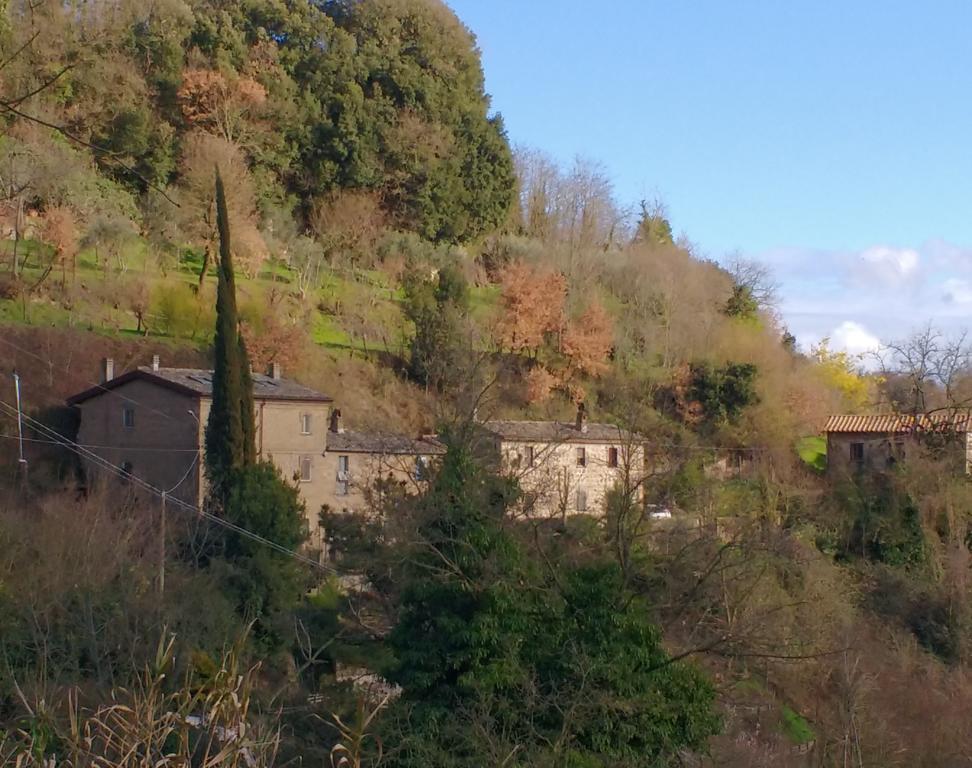 Rustico Appartement Bagnoregio Buitenkant foto